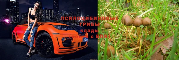 соль курить ск Медвежьегорск